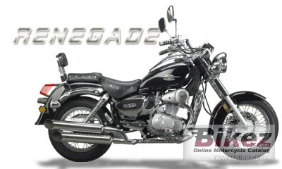 2010 UM Renegade 200 LE photo
